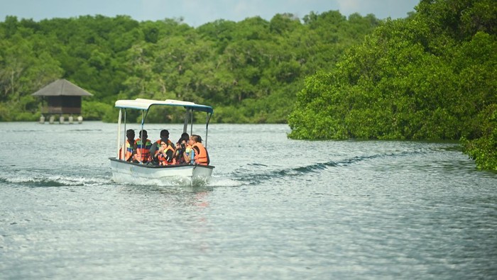 wisata-susur-hutan-mangrove-1745658709541_169