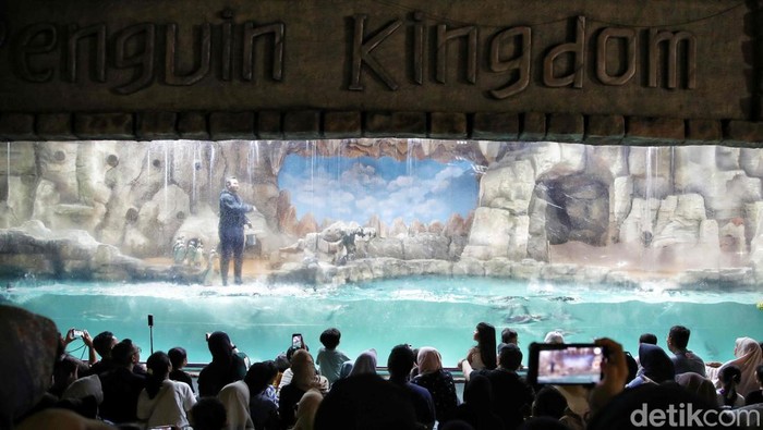 1748755371037-liburan-seru-bersama-penguin-di-ocean-dream-samudra-ancol-1748695063125_169