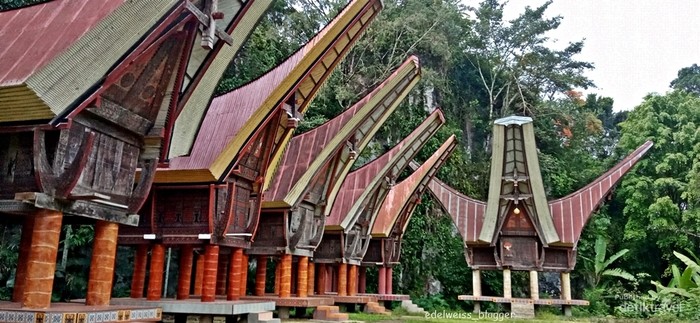 1753161328010-ugc-dtravelers-detiktravel-1753154153725