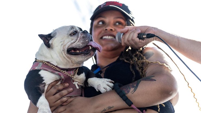 1754737638972-lucu-banget-anjing-anjing-terjelek-adu-gaya-di-california-1754713357123_169