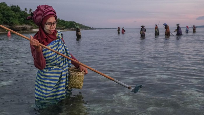 1756014589366-perempuan-wakatobi-lestarikan-tradisi-hekente-menombak-ikan-dengan-alat-tradisional-1755962305642_169