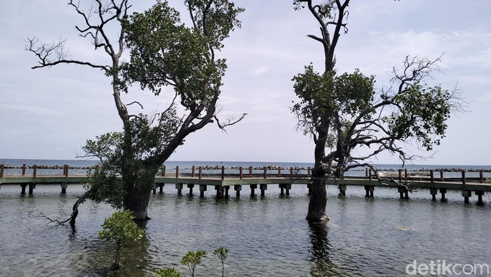 1761306885276-pulau-untung-jawa-di-kepulauan-seribu-1761230734976_169