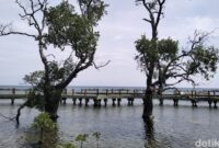 1761370996729-pulau-untung-jawa-di-kepulauan-seribu-1761230734976_169
