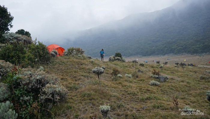 1761479163885-indahnya-pagi-di-alun-alun-surya-kencana-gunung-gede-5_169