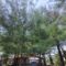 1761652304464-lampion-yang-tersangkut-di-atap-bangunan-dan-pohon-cemara-di-dekat-area-parkir-pantai-gua-cemara-bantul-senin-27102025-1761543596490_169