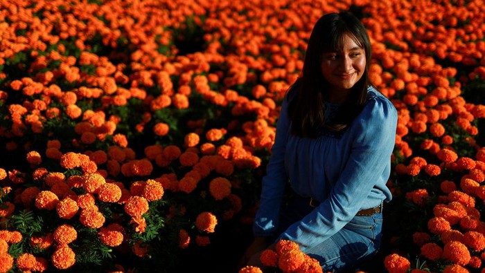 1761673522677-hamparan-bunga-marigold-warnai-hari-arwah-di-meksiko-city-1761634543144_169