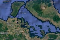 1761825292570-teluk-saleh-diusulkan-jadi-habitat-lindung-hiu-paus-1761797306494_169