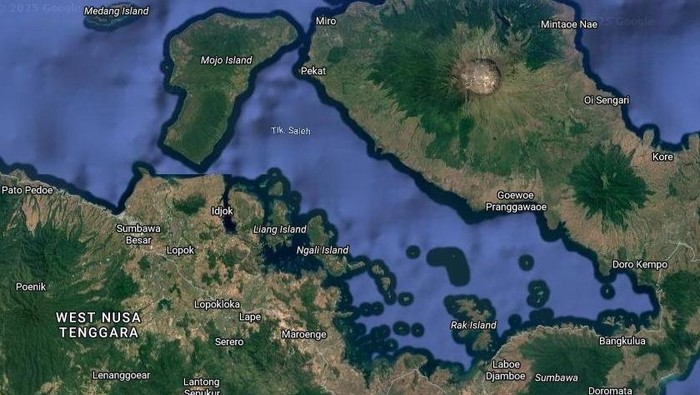 1761825292570-teluk-saleh-diusulkan-jadi-habitat-lindung-hiu-paus-1761797306494_169