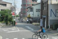 1762192313134-fd61a36b-d5f7-4a12-b279-26aef576047c_169