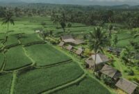 1762235512914-pemkab-banyuwangi-1762224851188_169