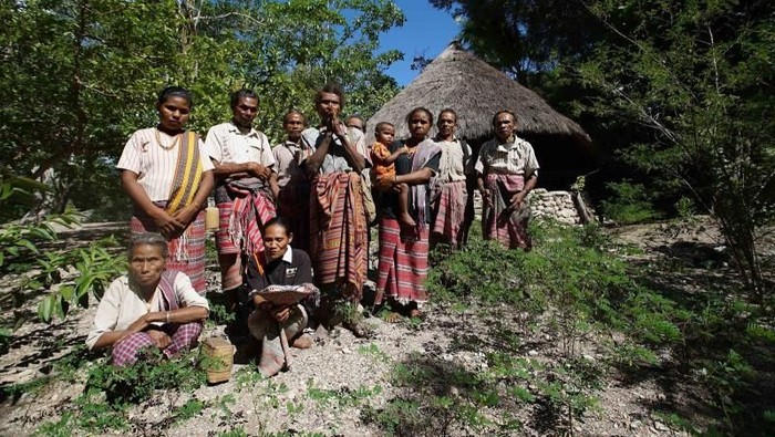 1762278791391-eb7bf7bf-1064-43b5-a62b-21ab8e07a70e_169