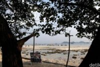 1762321998113-90393257-9d22-453d-ad6a-3b8412b7e538_169