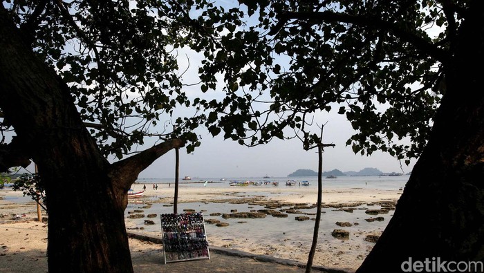 1762321998113-90393257-9d22-453d-ad6a-3b8412b7e538_169