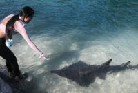 1762322036291-dki-jakarta-bidik-investasi-rp143-triliun-di-sektor-pariwisata-tahun-2025-1762252578399_169