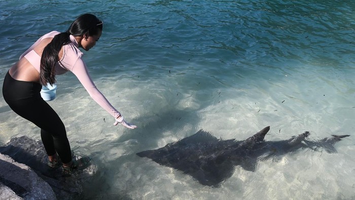 1762322036291-dki-jakarta-bidik-investasi-rp143-triliun-di-sektor-pariwisata-tahun-2025-1762252578399_169