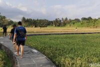 1762343672400-suasana-saat-jogging-di-subak-penarungan-mengwi-badung-bali-foto-agus-ekadetikbali-1761464229689_169