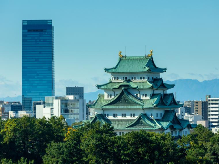 1762364926035-adv-1762222787516