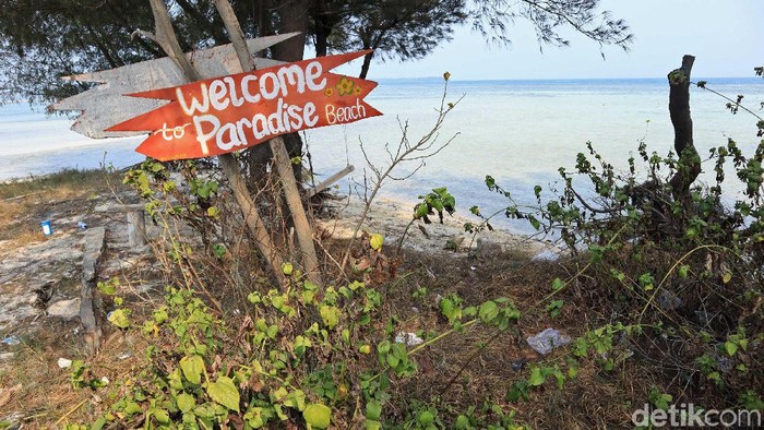 1762408675592-c0b9da42-72d8-4342-9fd1-0ffea1097764_169