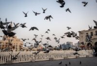 1762430327730-souq-waqif-pasar-berarsitektur-tradisional-di-qatar-1762403108722_169