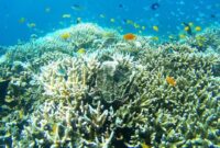 1762430403776-26b85ffe-7335-458f-8e61-14ecfbb9f814_169