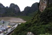 1762495359938-08242c5a-ba89-48f0-a425-db48304c1574_169