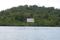 1762516458187-penampakan-pulau-tanjung-sauh-batam-yang-disahkan-jokowi-jadi-kek-baru-dok-istimewa_169