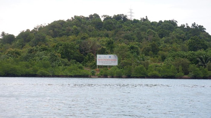 1762516458187-penampakan-pulau-tanjung-sauh-batam-yang-disahkan-jokowi-jadi-kek-baru-dok-istimewa_169