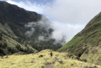 1762948461822-52dcb93e-bae4-48d7-a3c8-a9ac4738fed3_169