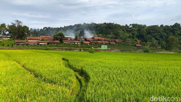 1762948580969-suasana-desa-wisata-cibuntu-kuningan-1761542328736_169