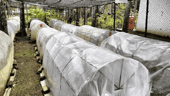 1763013809998-ugc-dtravelers-detiktravel-1763000339321