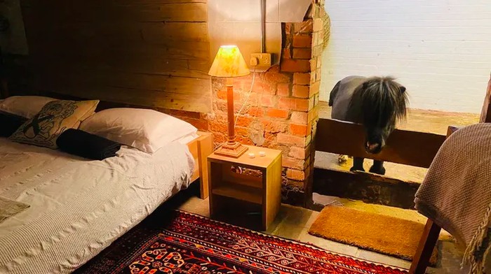 1763013836534-pengingapan-unik-di-inggris-1762938946772_169