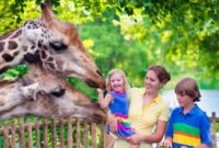 1763099902994-ilustrasi-kebun-binatang_169