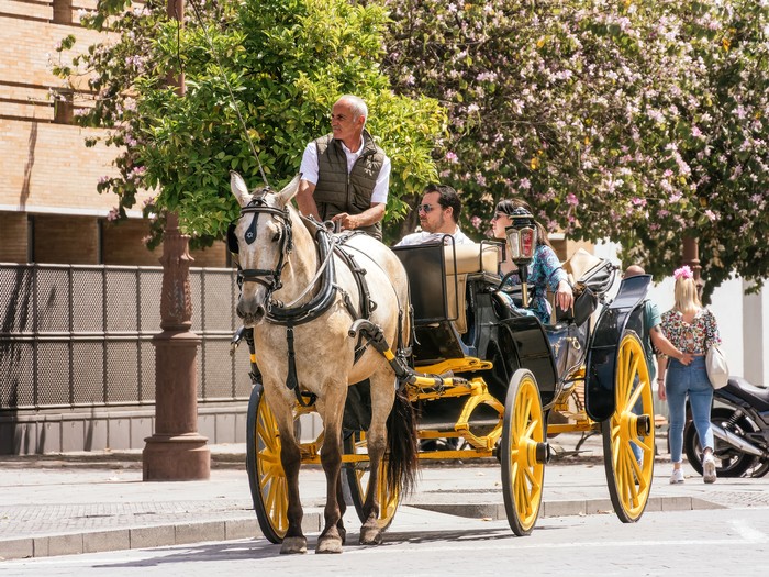 1763121079138-kereta-kuda-di-seville
