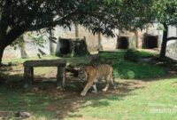 1763359202412-97678cd0-f14a-4830-84eb-1c3b3e335eca_169