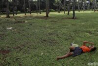 1763401690021-5f26bfcd-9979-4b3b-afa8-2ba77877dfb5_169