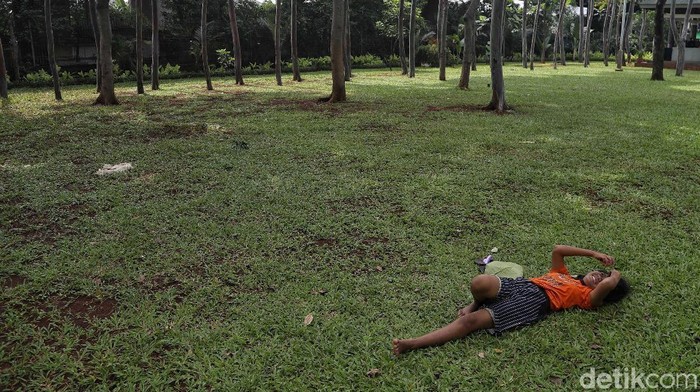 1763401690021-5f26bfcd-9979-4b3b-afa8-2ba77877dfb5_169