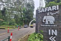 1763445281905-taman-safari-indonesia-1763382187748