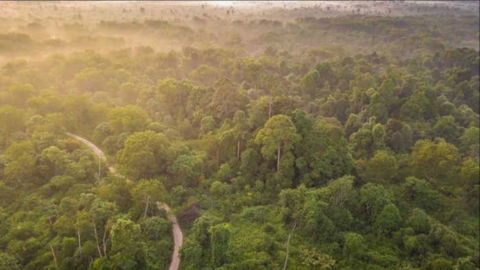 1763464129119-da7dc07b-1e27-468b-9e63-2f17ec0e1d21_169