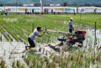 1763485948171-balapan-traktor-1763274727410_169