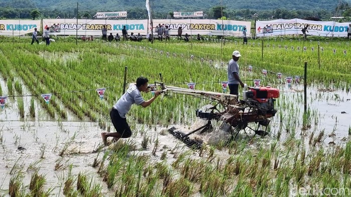 1763485948171-balapan-traktor-1763274727410_169