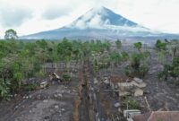 1763636818961-tim-gabungan-gerak-cepat-tangani-dampak-erupsi-semeru-1763622105311_169