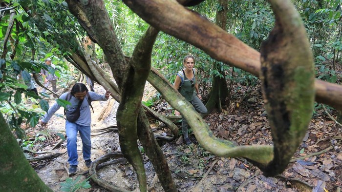 1763787999200-jungle-trekking-ke-dalam-kawasan-ekosistem-leuser-1763738224823_169