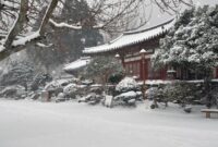 1764025529477-salju-di-korea-selatan_169