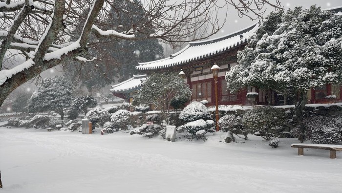 1764025529477-salju-di-korea-selatan_169