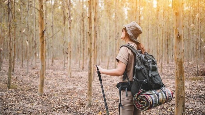 1764068852276-solo-traveling_169