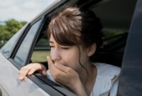 1764090635875-ilustrasi-mabuk-perjalanan-1742611652241_169