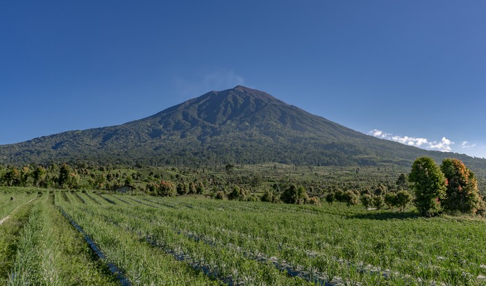 1764393047576-gunung-kerinci