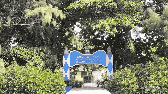 1764414526505-ugc-dtravelers-detiktravel-1764392659658