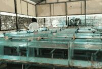 1764435994635-ugc-dtravelers-detiktravel-1764413433060