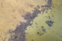 1764587355298-sampah-kayu-gelondongan-pascabanjir-bandang-di-solok-1764558874407_169